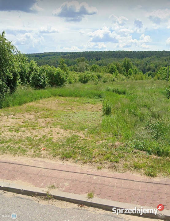 sprzedaży działki Mniów 5000 metrów