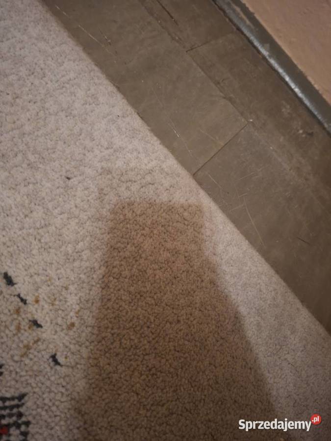 Dywan grubszy duży szary Lublin sprzedam