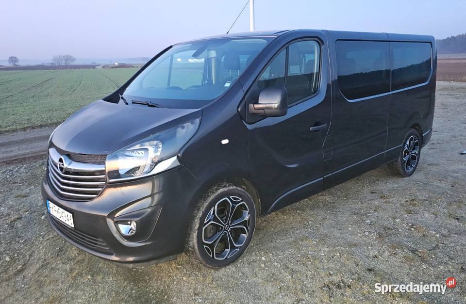 Opel vivaro biturbo Sulmierzyce