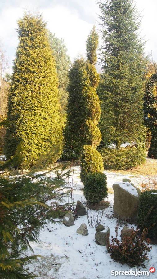 ogródek działkowy prąd mazowieckie Sochaczew