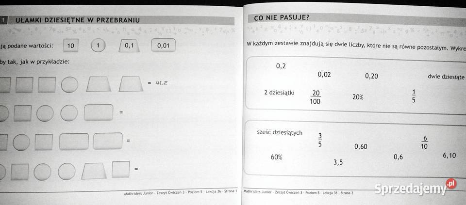 MathRider Poziom 5 Zeszyt zadań domowych 3 Anita Chełm