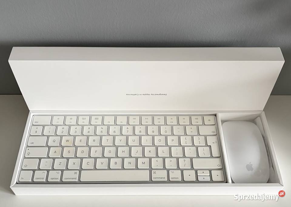 Apple iMac Retina 5K 27 2019 24 GB 2667 MHz DDR4 Gniezno