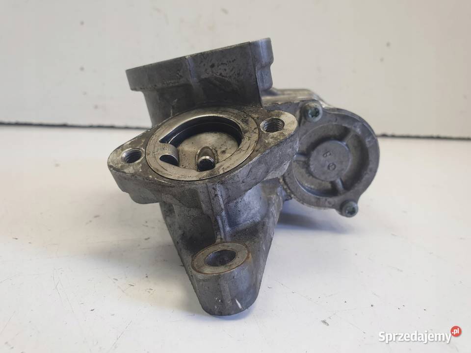 Renault Scenic II 19 DCI ZAWÓR EGR 8200754913H Rudka