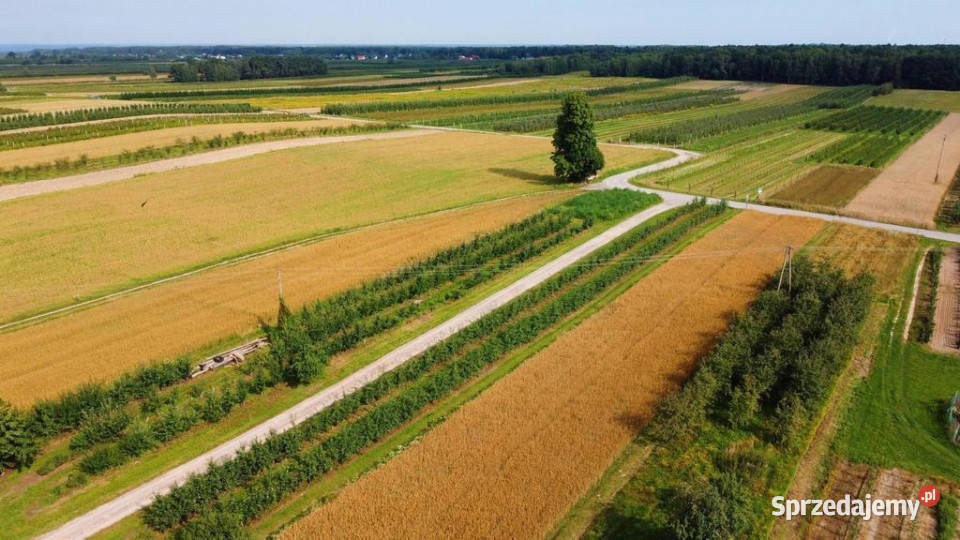 siedlisko 53 ar ziemi pod Kazimierzem Zagajdzie