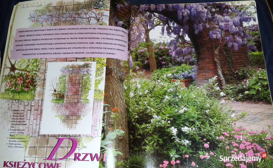 Działkowiec specjalny 12342004 Chełm