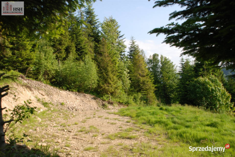 Do sprzedaży działka 14000m2 Żarnówka