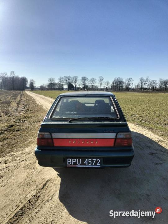 Polonez Caro Plus Krzywowólka-Kolonia