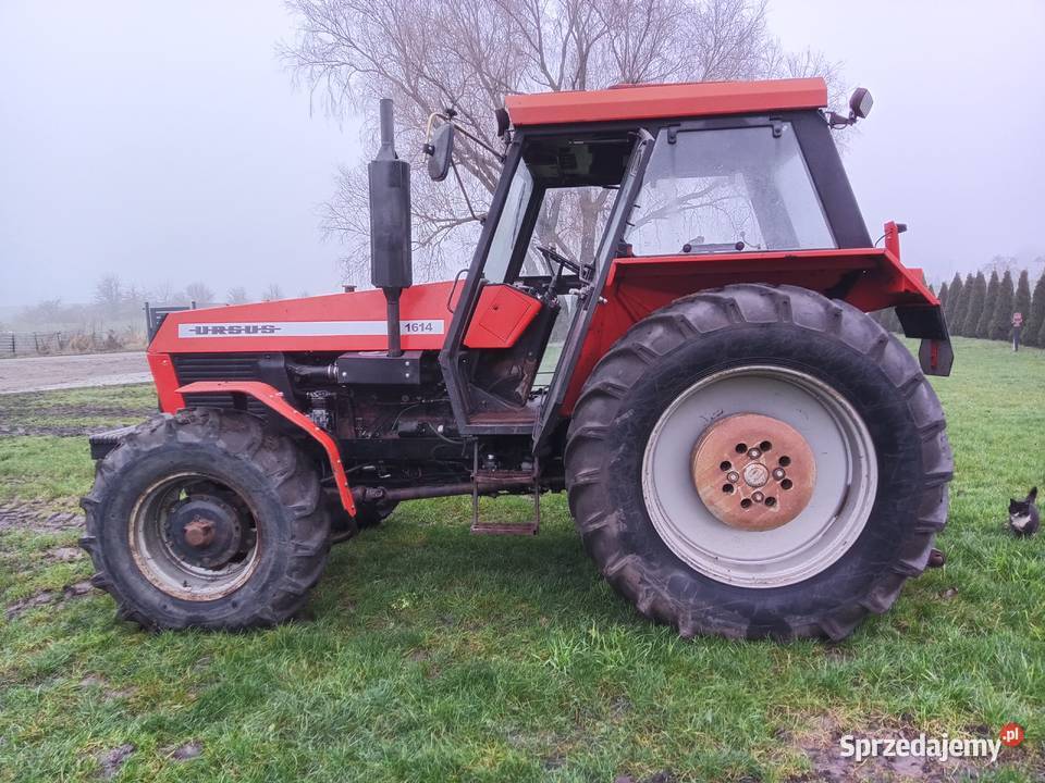 Ciągnik Rolniczy Ursus 1614 sprzedam