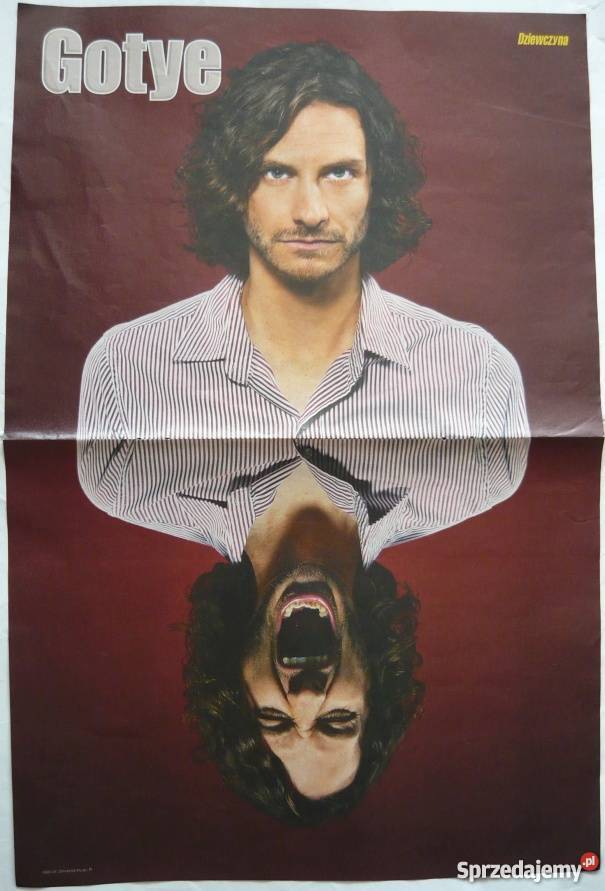 PLAKAT GOTYE PITBBULL 2012 Bydgoszcz