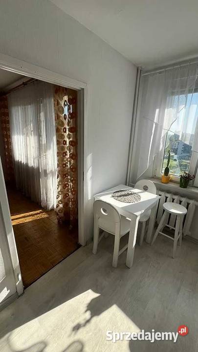 2pok 50met Bajana BALKONPIWNICA2WINDY Wrocław