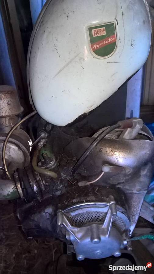 Glebogryzarka Agria mazowieckie sprzedam