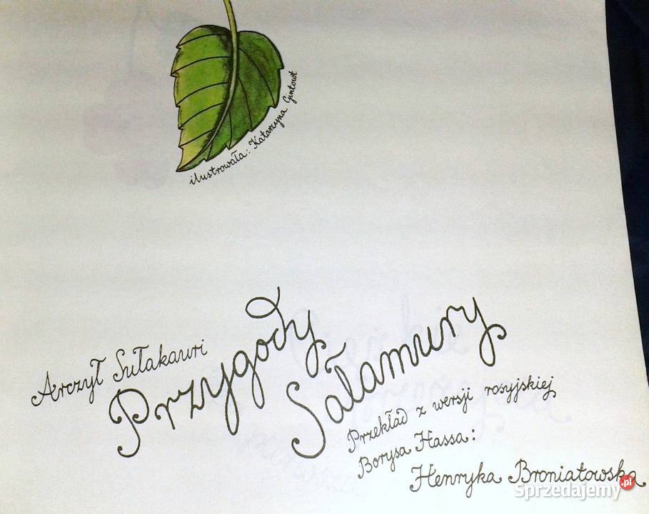 Przygody Sałamury Arczył Sułakauri Chełm