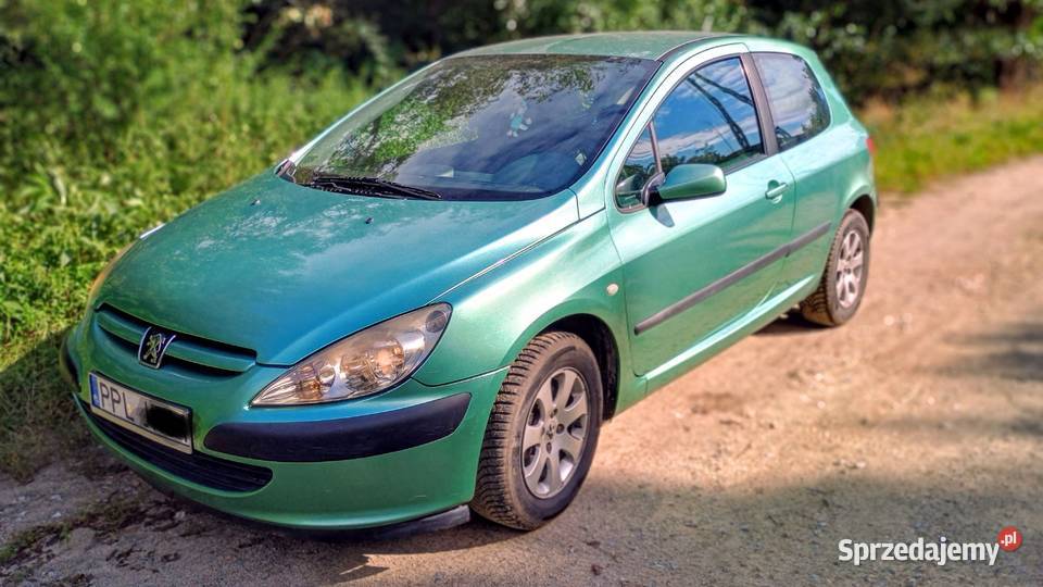 Sprzedam Peugeot 307 16 benzyna Rok produkcji 2002 Zielona Łąka