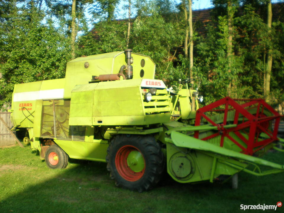 Kombajn Claas Corsar Maszyny rolnicze Strzyżów