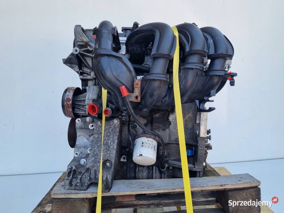 SILNIK Ford Focus II MK2 16 16V 100 udokument lubelskie Janów