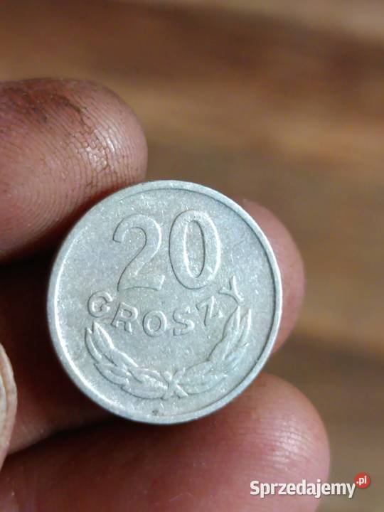 Sprzedam monete 20 groszy 1965 r ttt Chełm sprzedam