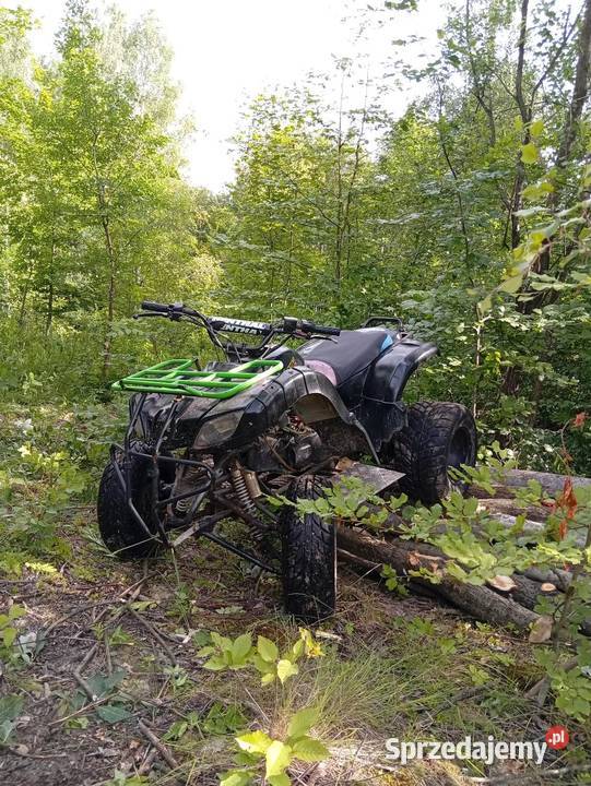 Quad Hamer Bashan 200cc 11 bagażnik Bashan Harta