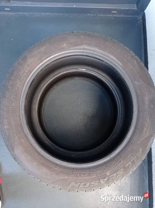 Opony Pirelli Cinturato All Season Plus 19555