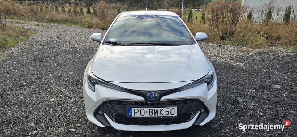 Toyota corolla Poznań
