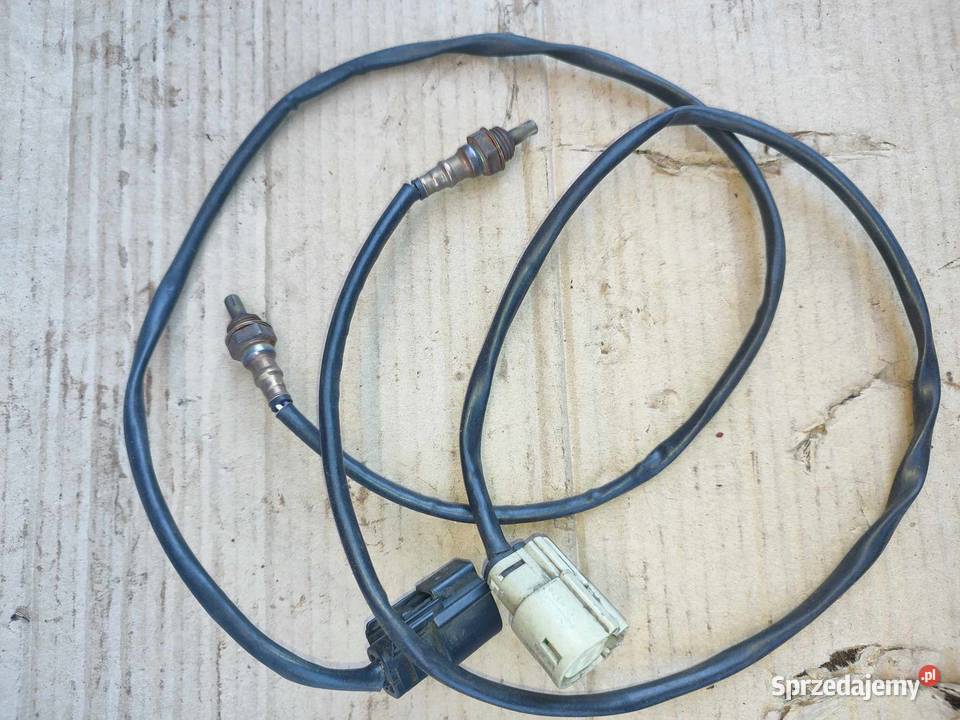 harley sondy Głogów Małopolski