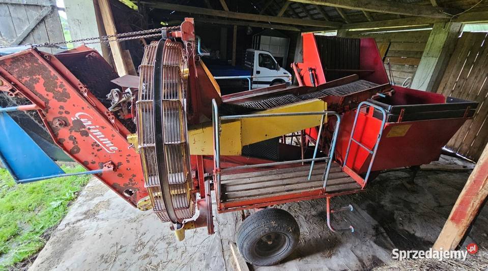 Kombajn do ziemniaków Grimme Europa garażowany Horostyta