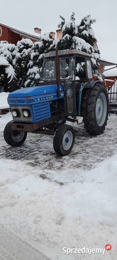 ciągnik leyland 384 Ostrowiec Świętokrzyski
