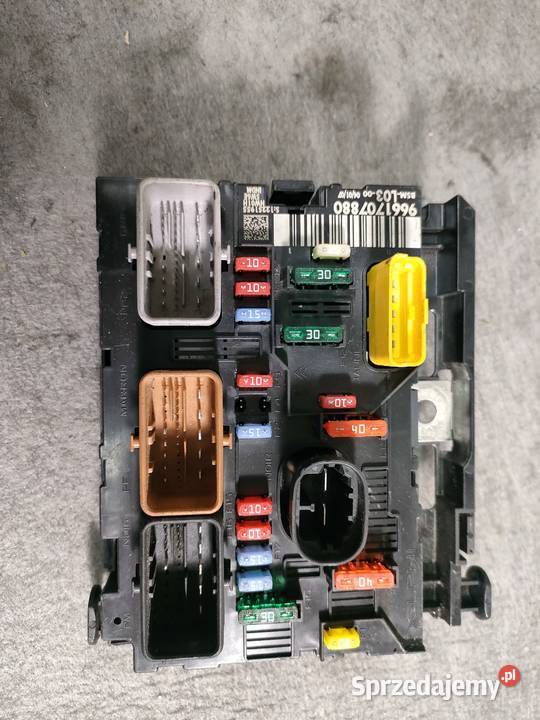 Peugeot Citroen BSM L03 Swarzędz