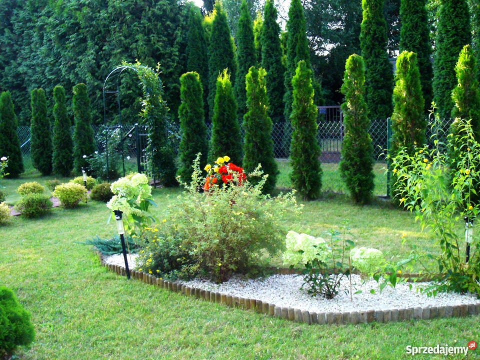 sprzedam działkę ROD Wolica woda mazowieckie sprzedam