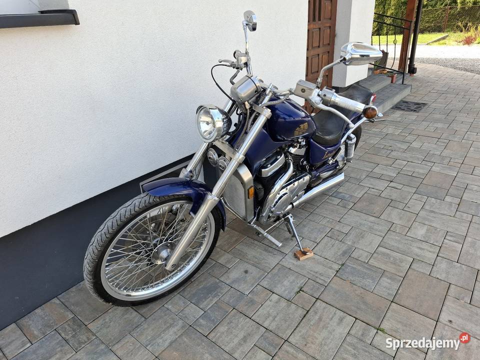 Suzuki vs 800 intruder 27 koni A2 519426269 Chobrzany sprzedam