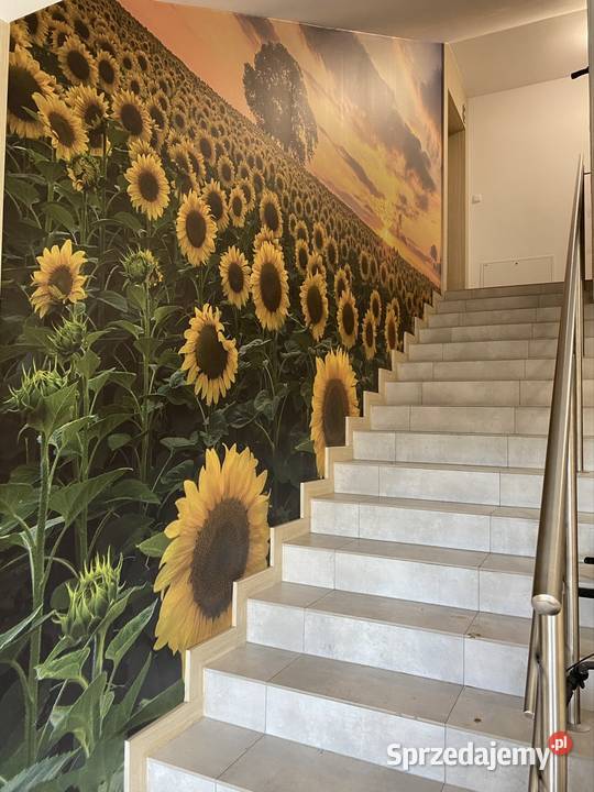 Sprzedam mieszkanie Sprzedaż pomorskie