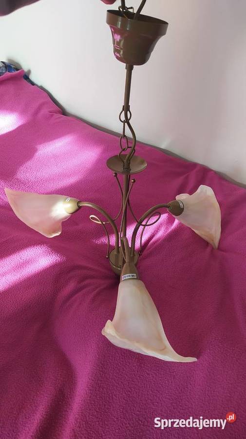 Żyrandol Alfa 3 ramienny Warszawa
