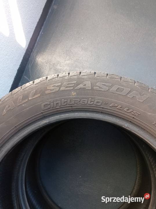 Opony Pirelli Cinturato All Season Plus 19555 Piaseczno