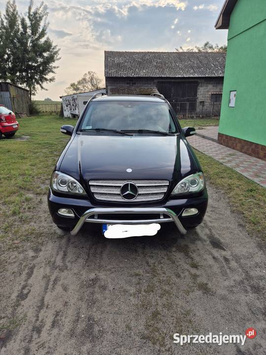Mercedes ML270 CDI W163 2004 Kalisz
