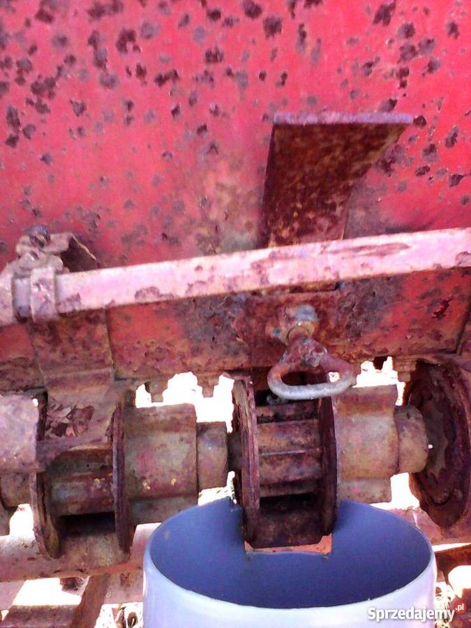 sadzarka do czosnku cebuli bobu 4 rzędowa Bończa