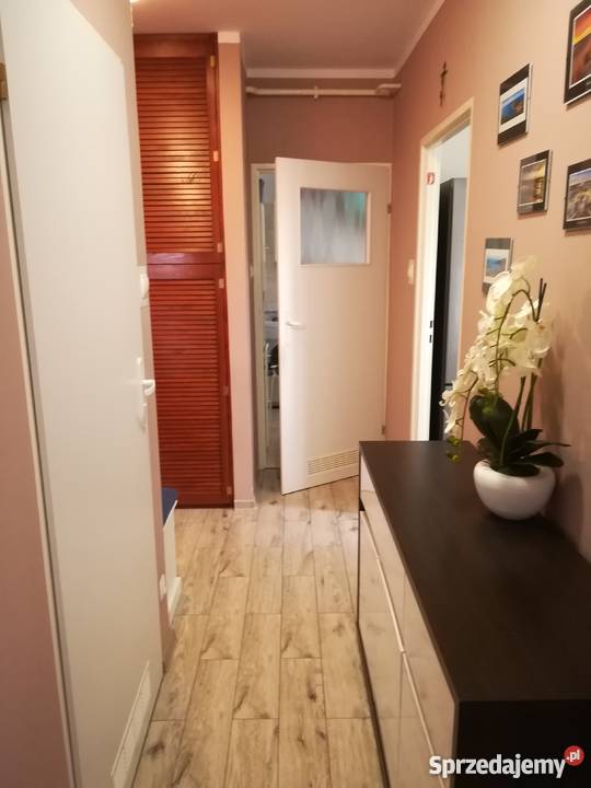 Mieszkanie 2 pokoje z partycypacją TBS Mieszkania Szczecin