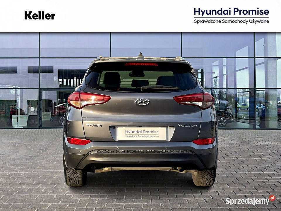 17CRDI 141 AUTOMAT Krajowy Style Full Led Dealer Gliwice