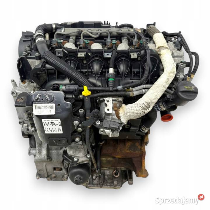 SILNIK Q4WA Ford Galaxy II MK2 S 22 TDCI 175 lubelskie sprzedam