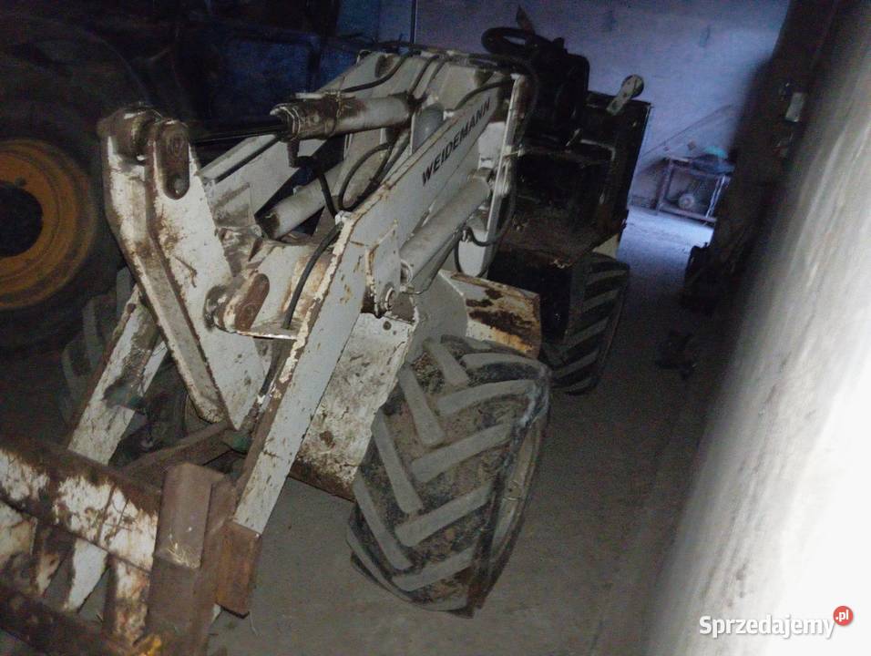 Weidemann 2002 Szczuka