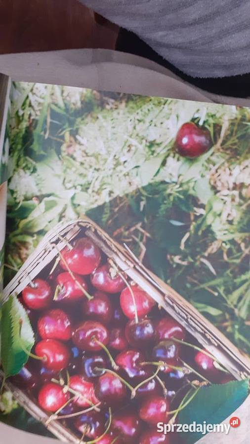 Jeść zdrowiej warzywa i owoce Poradniki, albumy i reportaże Szczecin sprzedam