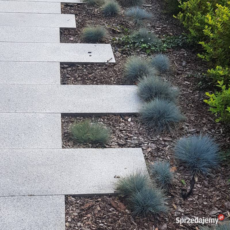 Płytka granitowa płomieniowana G602 bianco sardo Tczew