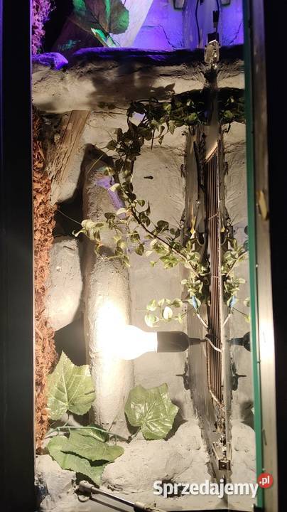 Duże wiszące terrarium Dąbrowa Górnicza sprzedam