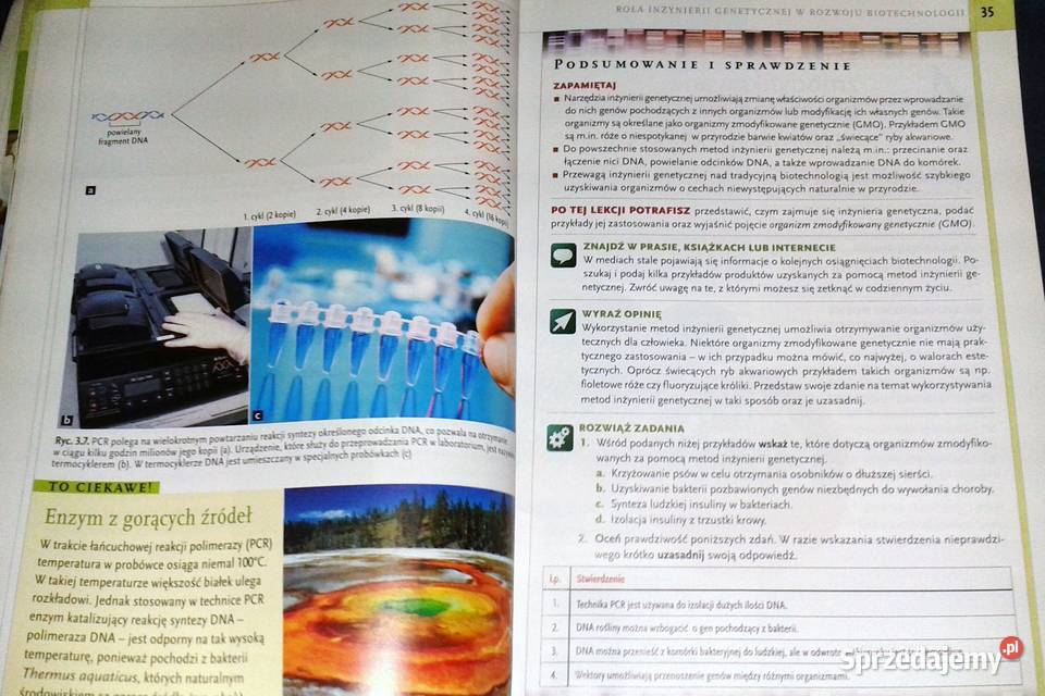 prostu biologia Karolina Archacka Rafał miękka lubelskie Chełm sprzedam