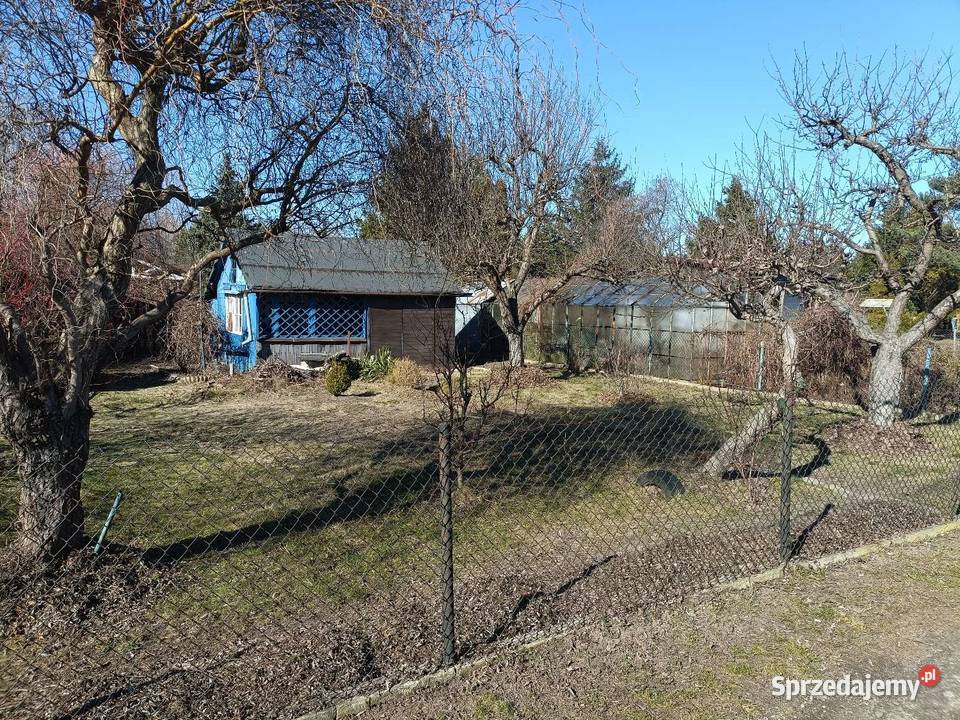 Działka ROD Paluch Miejski Warszawa 143zł/m2 mazowieckie