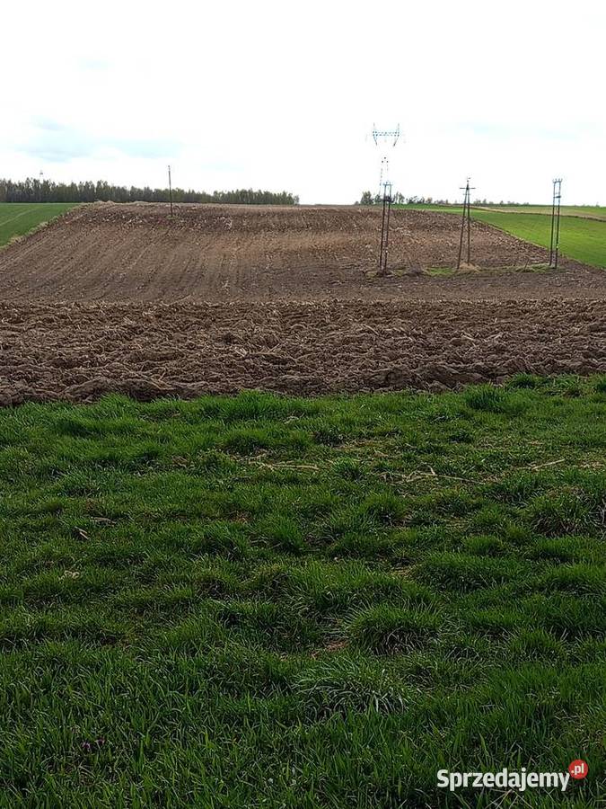 Sprzedam ziemie pole Wiszenki