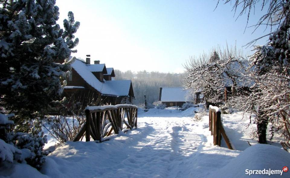 Posiadłość Dom w Beskidach Żywiec SPRZEDAM gospodarstwo Domy Żywiec