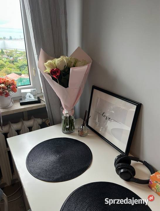 Mieszkanie kawalerka Wrocław Kamieńskiego dolnośląskie