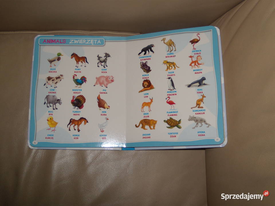 Pierwszy słowniczek obrazkowy angielsko polski Warszawa