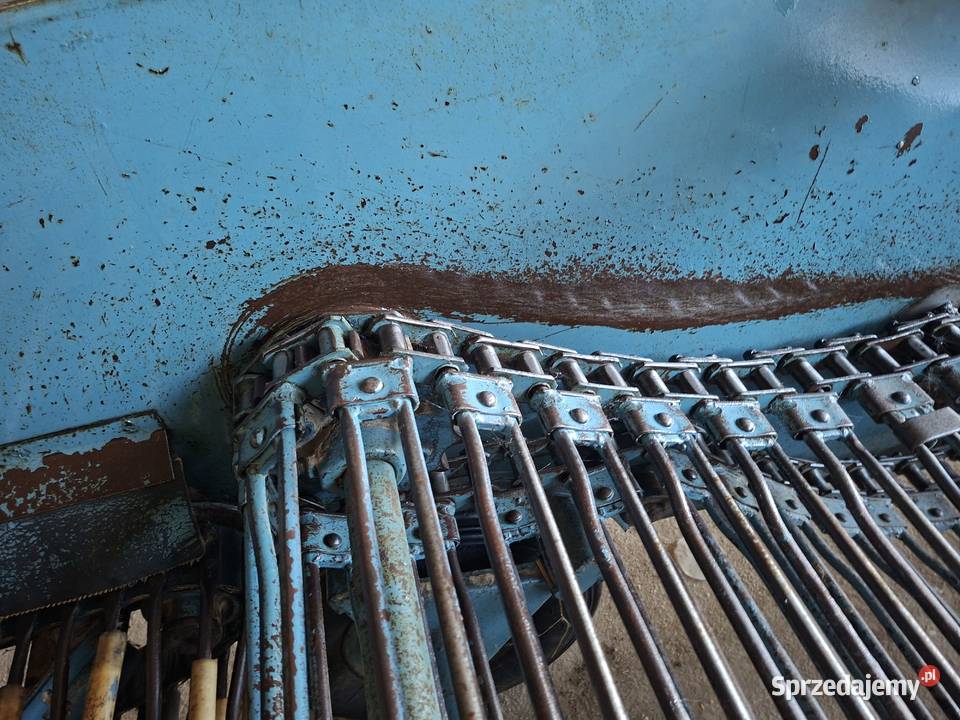 Kopaczka elewatorowa dwurzędowa nieuszkodzony lubelskie Radzyń Podlaski