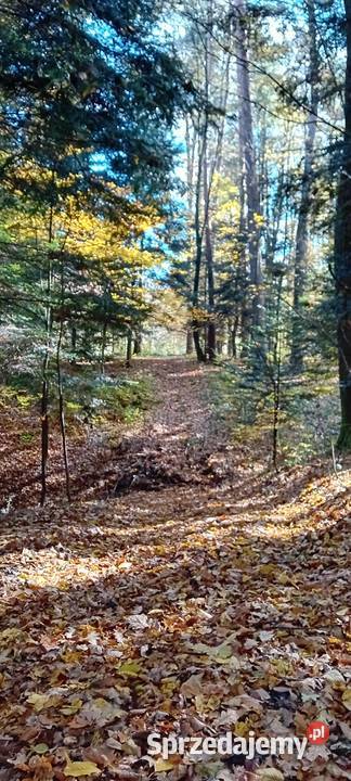 Dzialka lesna z dojazdami Pozostałe Andrychów