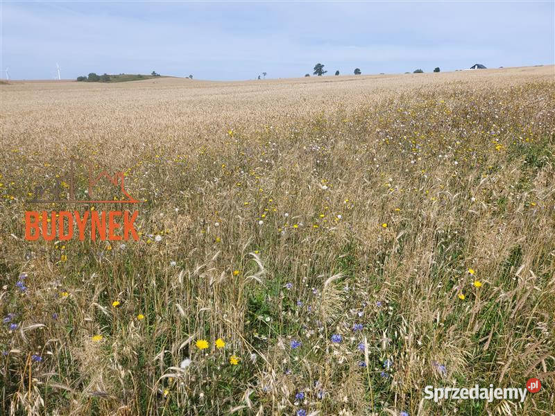 Działka Zakrzewo 38zł/m2